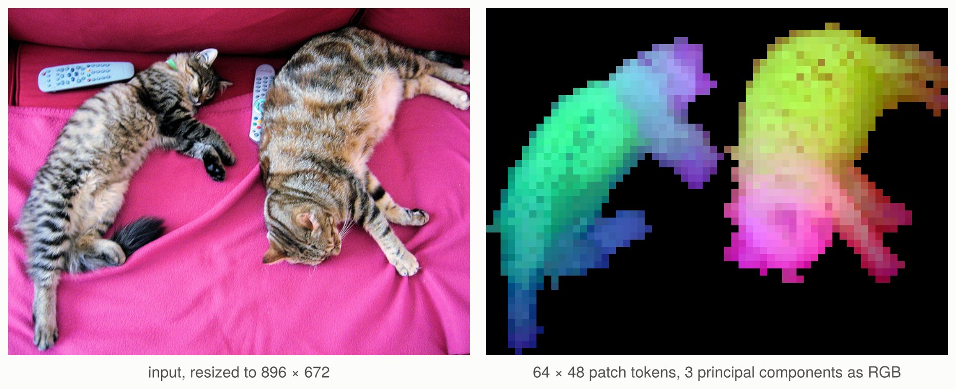 The photograph of two cats, and the principal components of DINOv2's patch features as colours