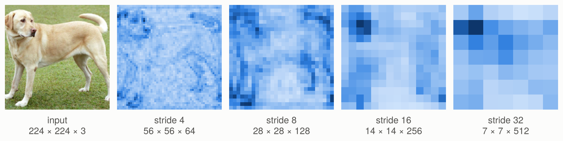The four feature maps of ResNet-18 for the photograph