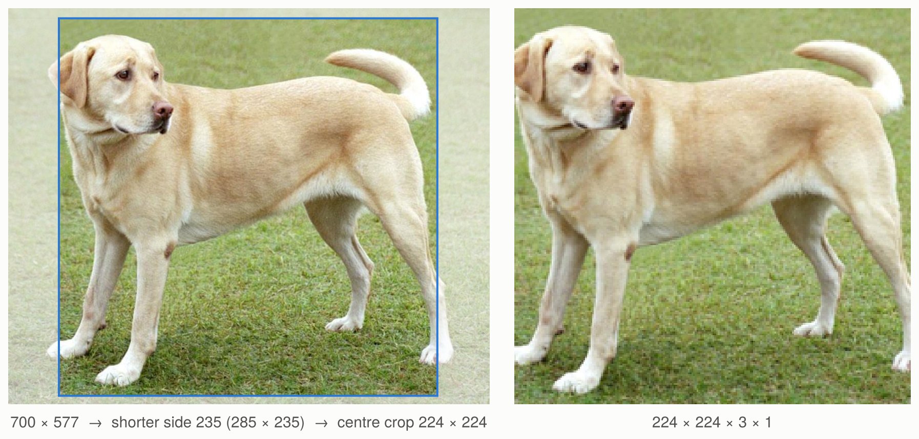 The photograph with the region that the transform keeps outlined, and the input of the model